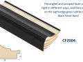 CF2004