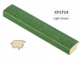CF1713
