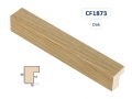 CF1873