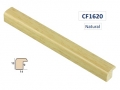 CF1620