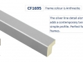 CF1695