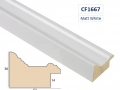 CF1667