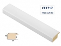 CF1717